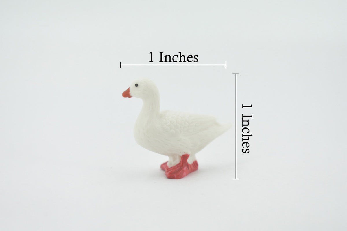 Duck, White, Pekin, Hand Painted, Rubber Bird, High Quality, Rubber, Realistic, Toy, Figure, Kids, Model, Replica, Educational, Gift,     1"    CH520 BB158