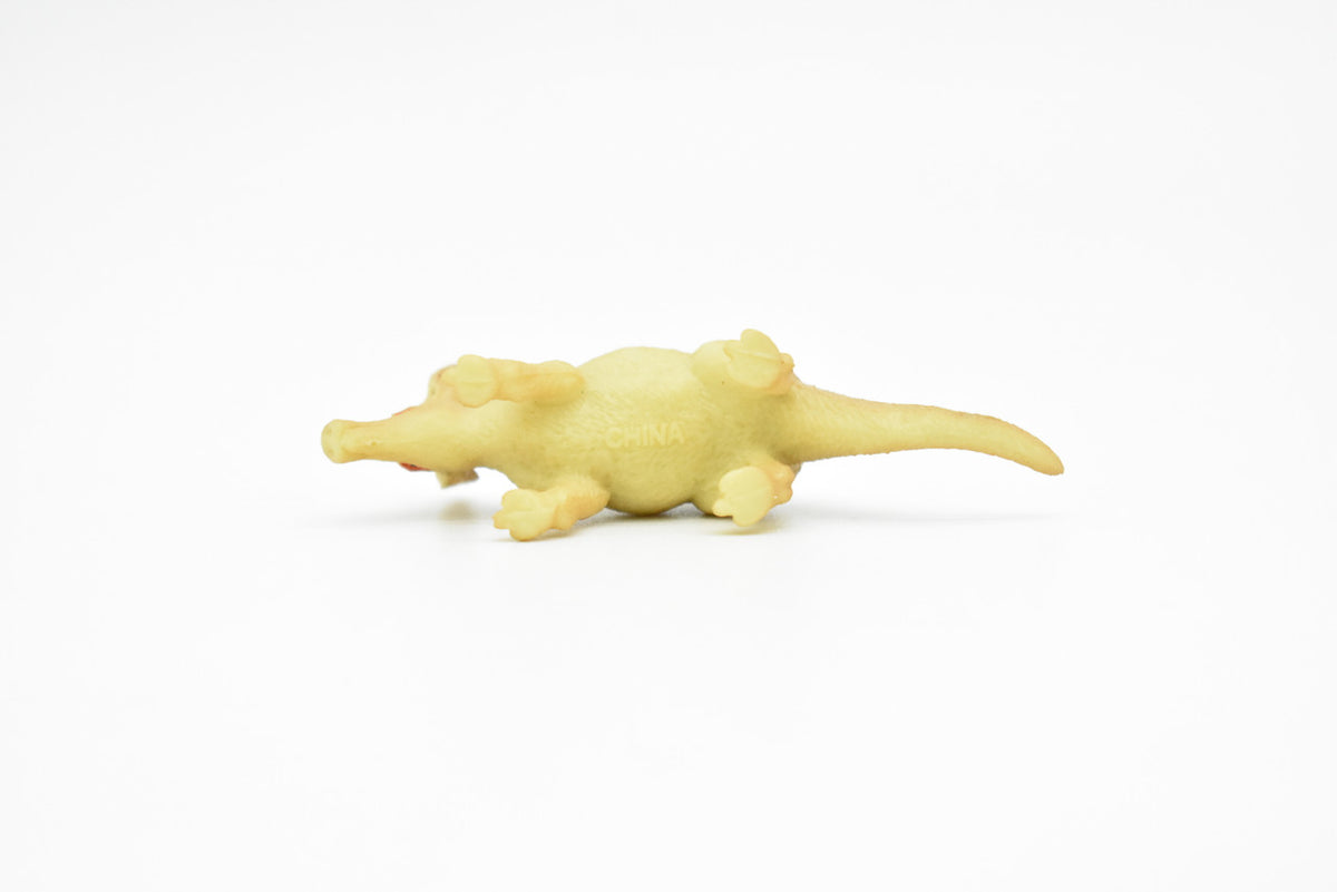 Aardvark, Orycteropus afer, Very Nice Plastic Design, African Animal Figure, Educational, Figure, Lifelike, Diorama Model, Figurine, Replica, Toy, Gift,    3 Inches.     CWG99 B237