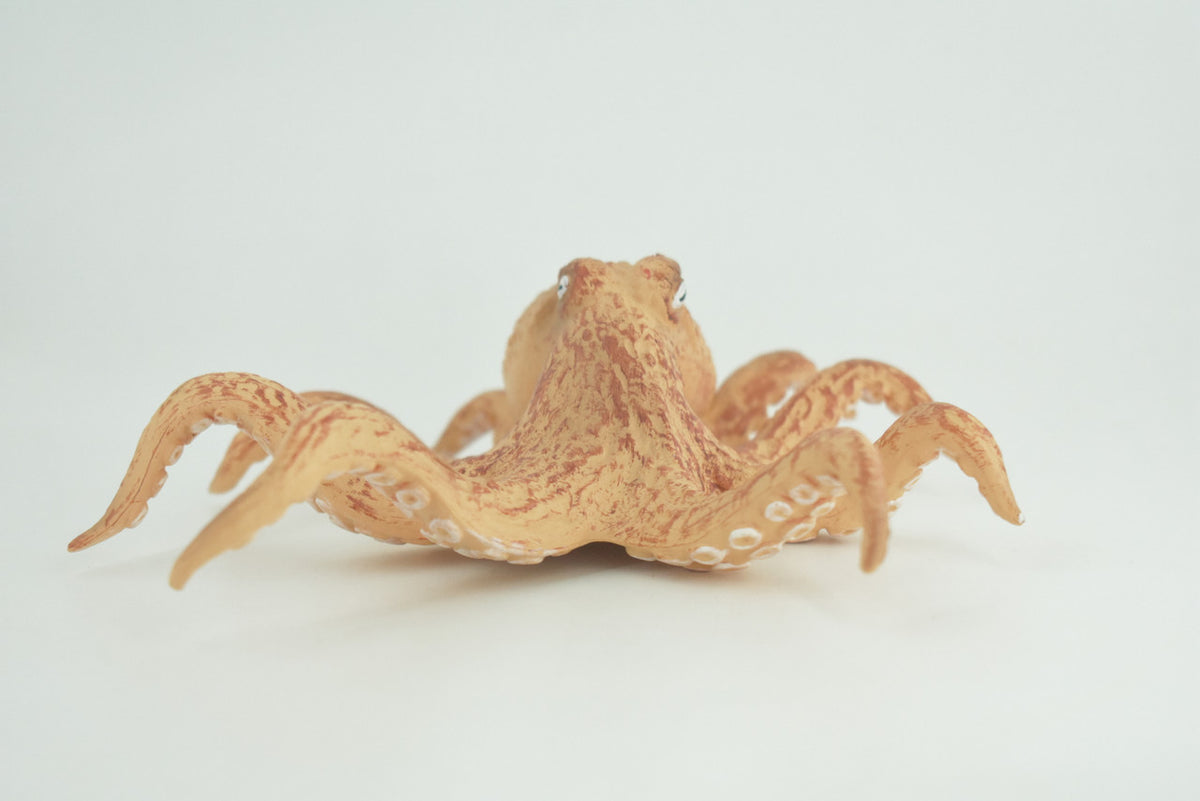 Octopus, Octopodes, Octopoda, Octopi, Ocean, Hand Painted, Rubber Realistic Toy Figure, Diorama, Model, Replica, Kids, Educational, Gift,   6 Inches.   CH1007 BB220