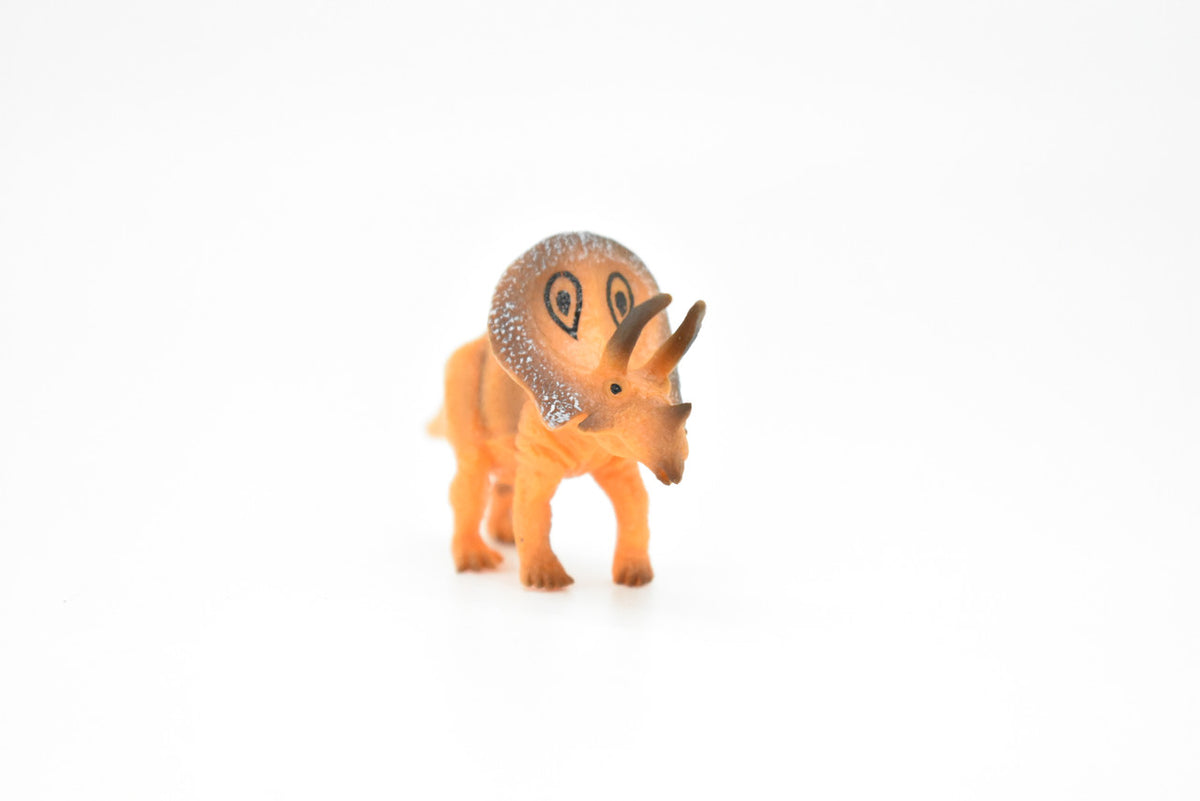 Torosaurus Dinosaur, Museum Quality, Animal, Educational, Realistic Hand Painted, Figure, Lifelike Model, Vintage Replica, Toy, Gift,    2 3/4 Inches.    F8101 B117