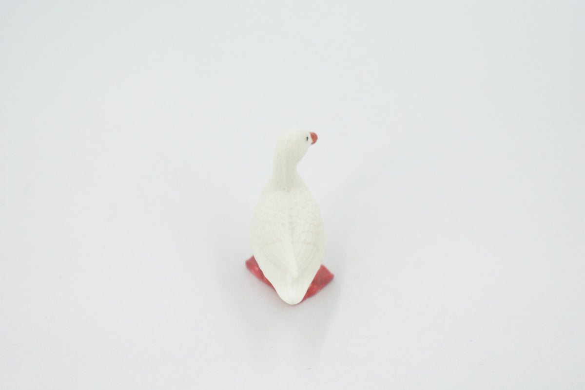 Duck, White, Pekin, Hand Painted, Rubber Bird, High Quality, Rubber, Realistic, Toy, Figure, Kids, Model, Replica, Educational, Gift,     1"    CH520 BB158