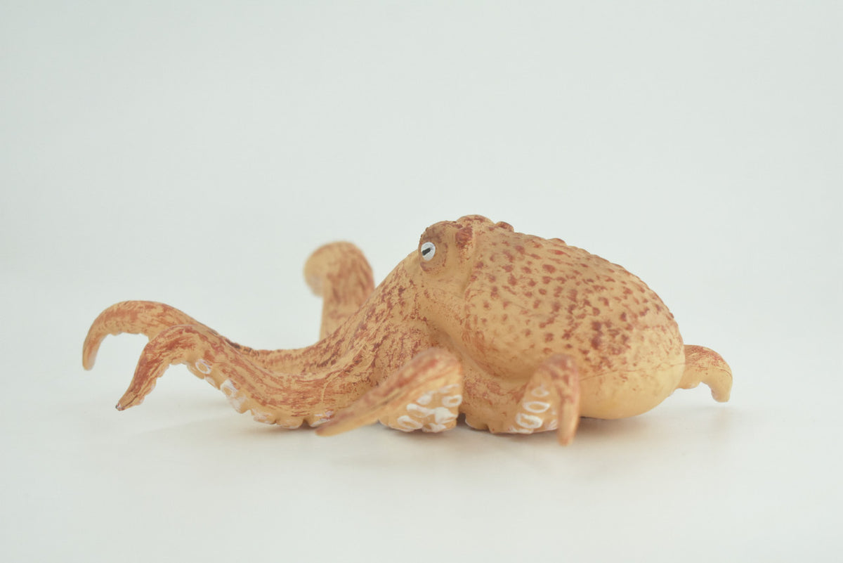 Octopus, Octopodes, Octopoda, Octopi, Ocean, Hand Painted, Rubber Realistic Toy Figure, Diorama, Model, Replica, Kids, Educational, Gift,   6 Inches.   CH1007 BB220