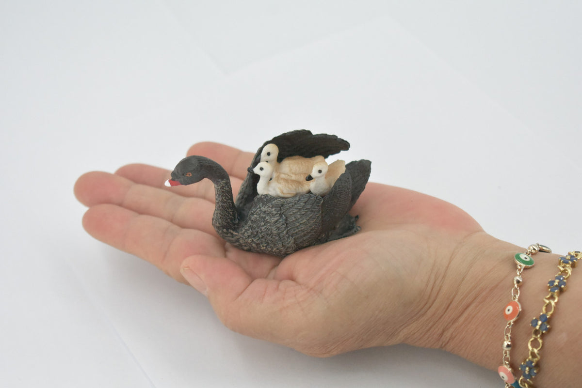 Bird, Black Swan, with Chicks, Babies, Museum Quality, Hand Painted, Rubber, Figure, Realistic, Model, Replica, Toy, Kids, Educational, Gift,     3"    CH695 BB173