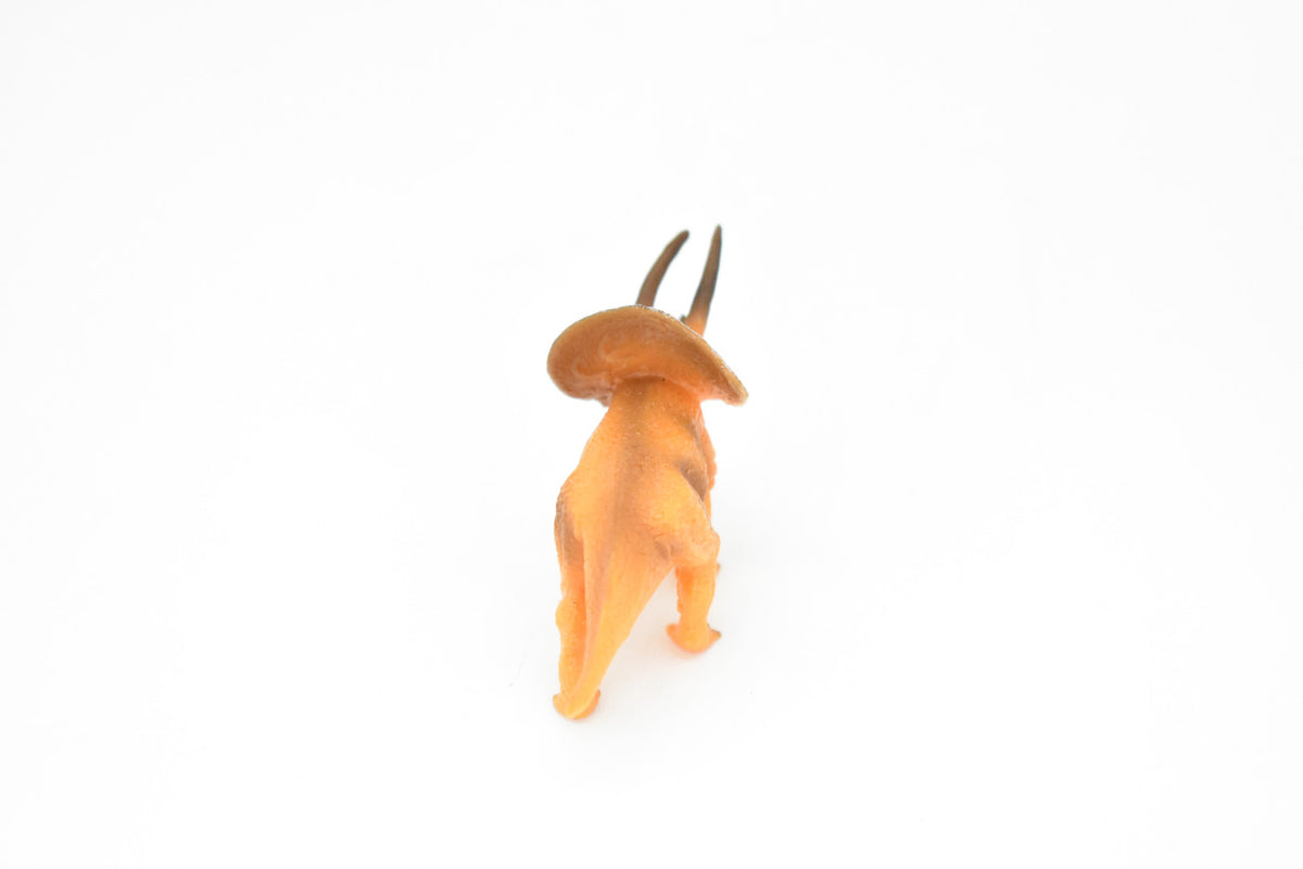 Torosaurus Dinosaur, Museum Quality, Animal, Educational, Realistic Hand Painted, Figure, Lifelike Model, Vintage Replica, Toy, Gift,    2 3/4 Inches.    F8101 B117