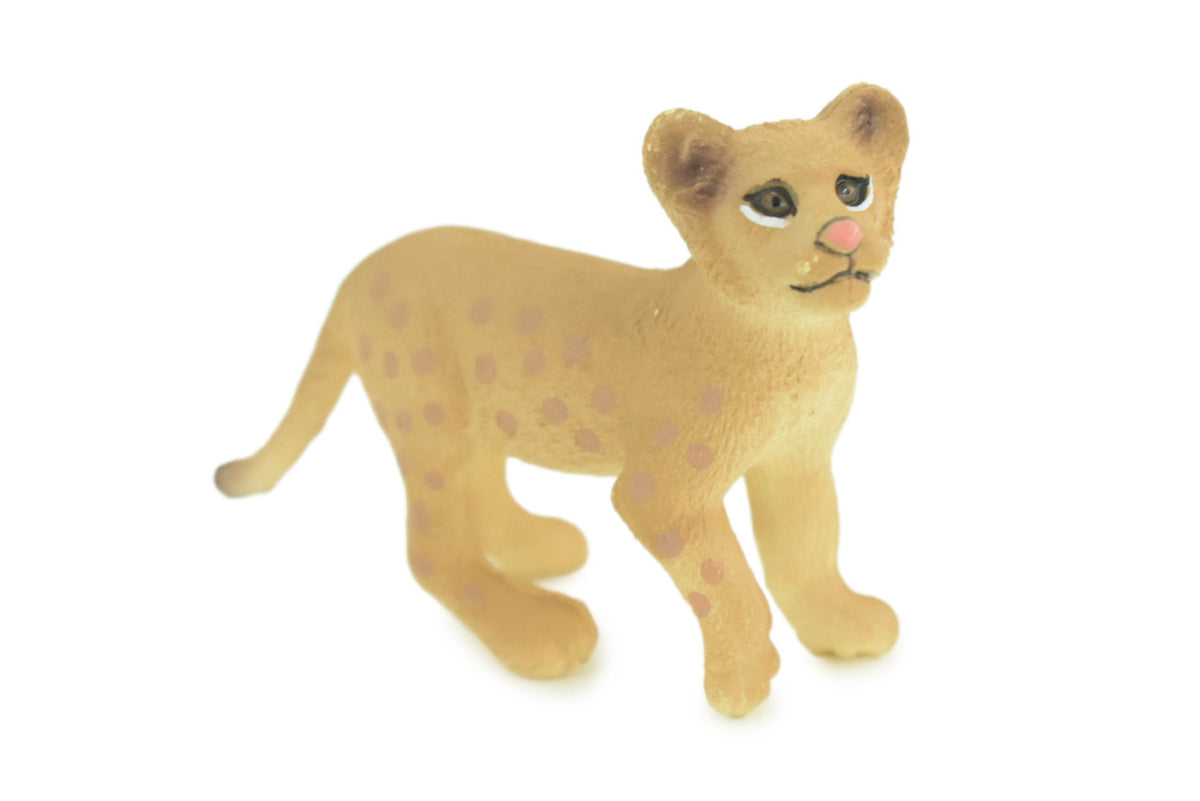 Mountain Lion, Puma Cub, Baby, Museum Quality, Hand Painted, Rubber Animal, Educational, Realistic, Figure, Toy, Kids, Replica, Gift, 3 Inches. CH875 BB199
