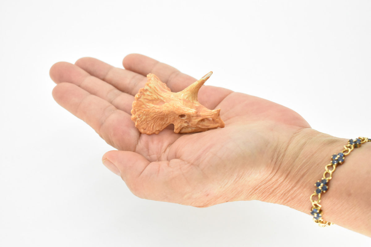 Triceratops, Late Cretaceous period, Dinosaur Skull Fossil, Very Realistic, Hard Rubber, Educational, Figure, Diorama Model, Prehistoric, Bones, Toy,  1.5 Inches   