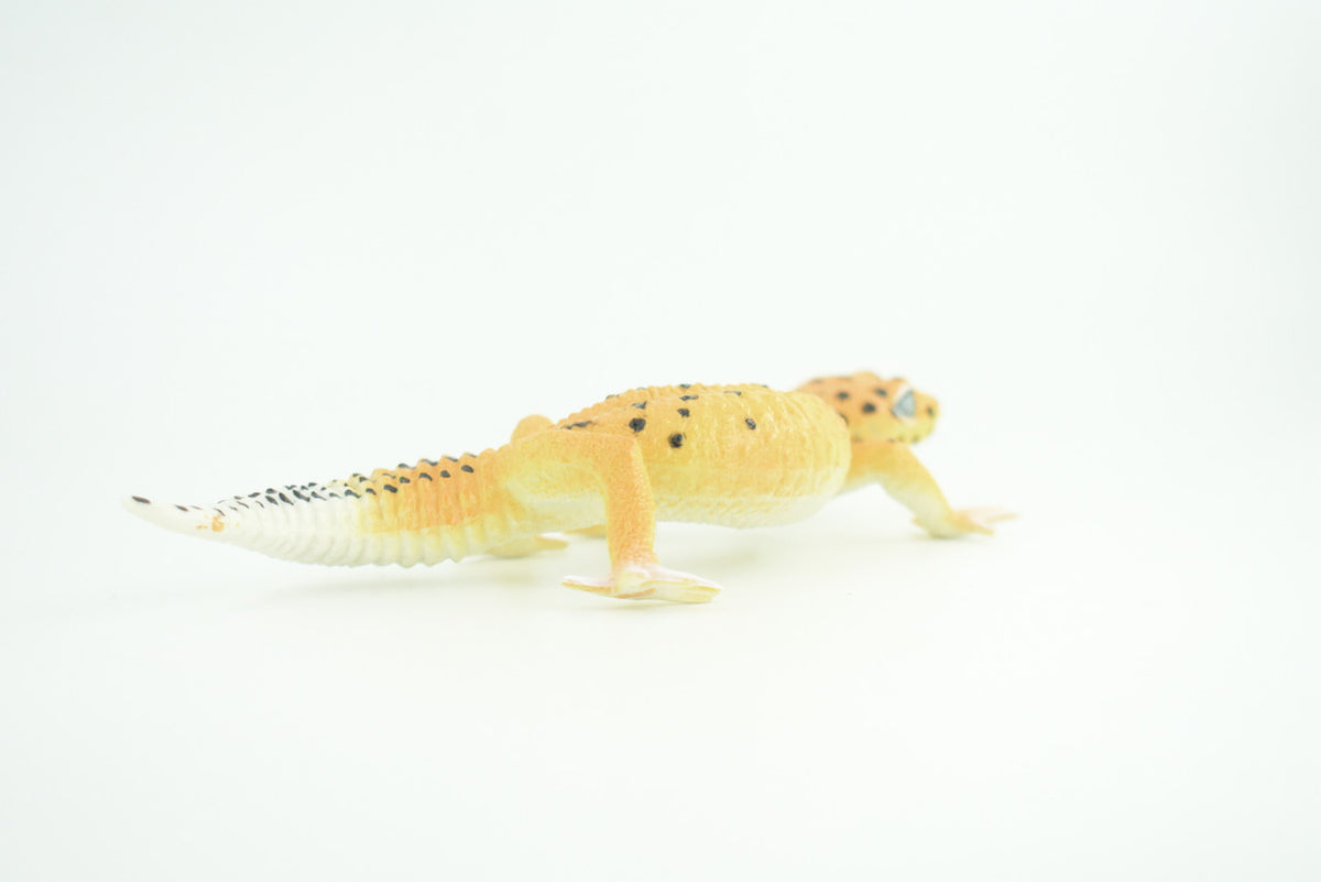 Leopard Gecko, Museum Quality, Educational, Hand Painted, Rubber Lizard, Realistic Reptile, Diorama, Toy, Kids, Gift,   7 Inches.  CH786 BB185