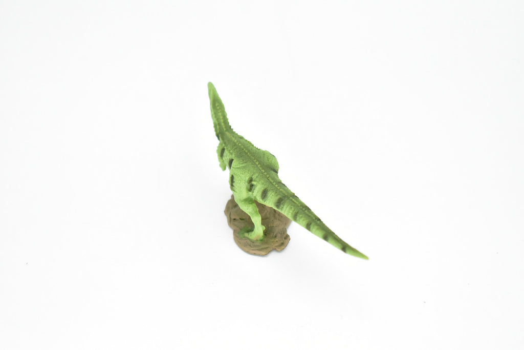 Gigantosaurus Dinosaur, Museum Quality, Animal, Educational, Realistic Hand Painted, Figure, Lifelike Model, Vintage Replica, Toy, Gift,    4 Inches.  F8102 B117