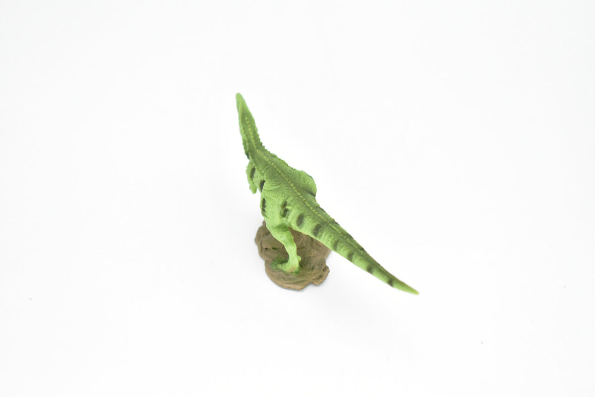Gigantosaurus Dinosaur, Museum Quality, Animal, Educational, Realistic Hand Painted, Figure, Lifelike Model, Vintage Replica, Toy, Gift,    4 Inches.  F8102 B117