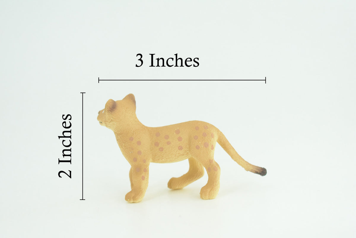 Mountain Lion, Puma Cub, Baby, Museum Quality, Hand Painted, Rubber Animal, Educational, Realistic, Figure, Toy, Kids, Replica, Gift, 3 Inches. CH875 BB199