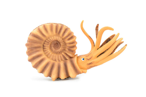 Ammonite, Living Fossil, Prehistoric Marine Animal, Museum Quality, Rubber, Hand Painted, Realistic Toy Figure, Diorama Model, Kids, Educational, 6 Inches 