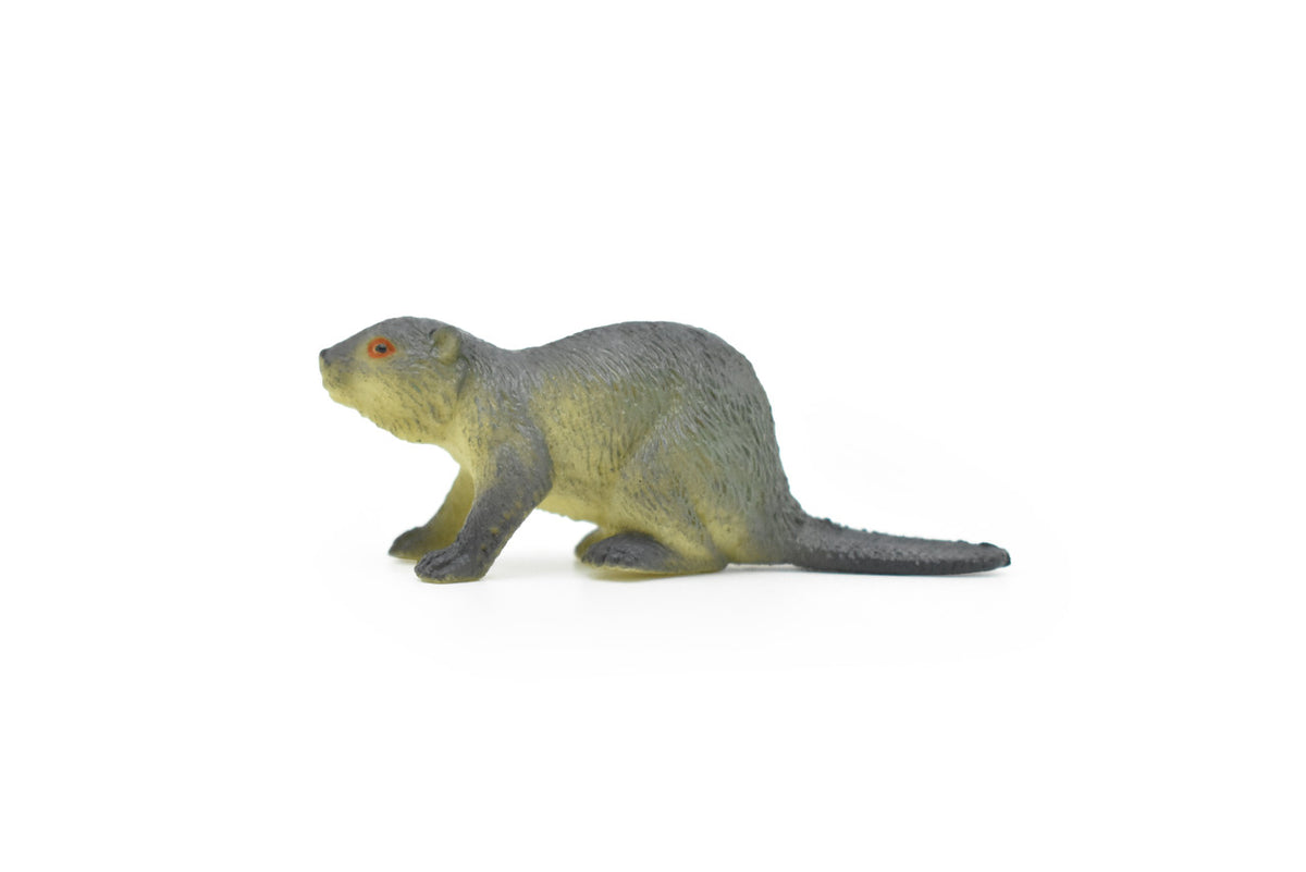 Beaver, Castor canadensis, Very Nice Plastic Design, American Animal, Educational, Hand Painted, Diorama Figure, Lifelike Model, Toy, 2 1/2 inches.