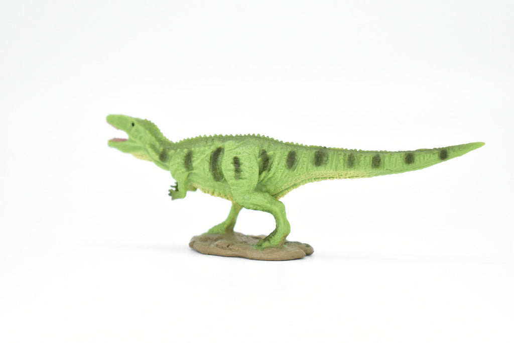 Gigantosaurus Dinosaur, Museum Quality, Animal, Educational, Realistic Hand Painted, Figure, Lifelike Model, Vintage Replica, Toy, Gift,    4 Inches.  F8102 B117