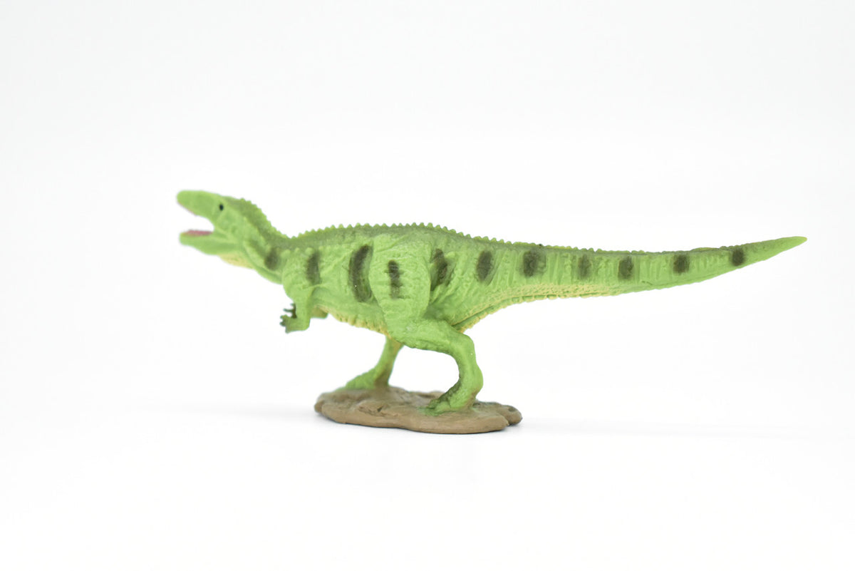 Gigantosaurus Dinosaur, Museum Quality, Animal, Educational, Realistic Hand Painted, Figure, Lifelike Model, Vintage Replica, Toy, Gift,    4 Inches.  F8102 B117