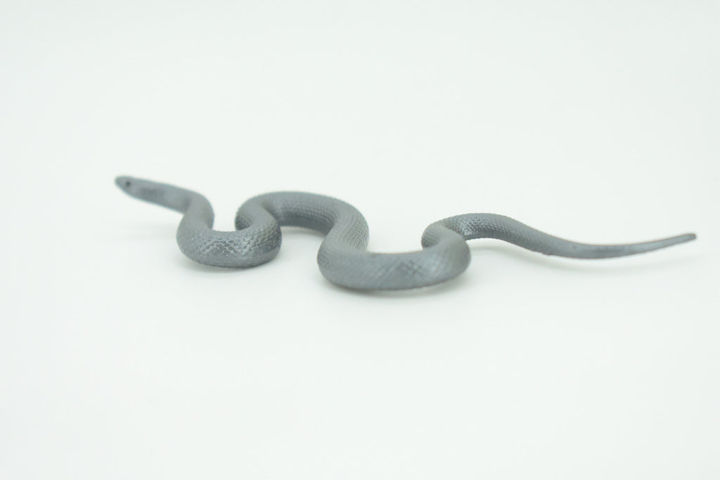 Indigo Snake, Drymarchon couperi, Blue Indigo, Educational, Rubber Reptile, Realistic Figure, Lifelike, Gift,    4"    SF42 B15