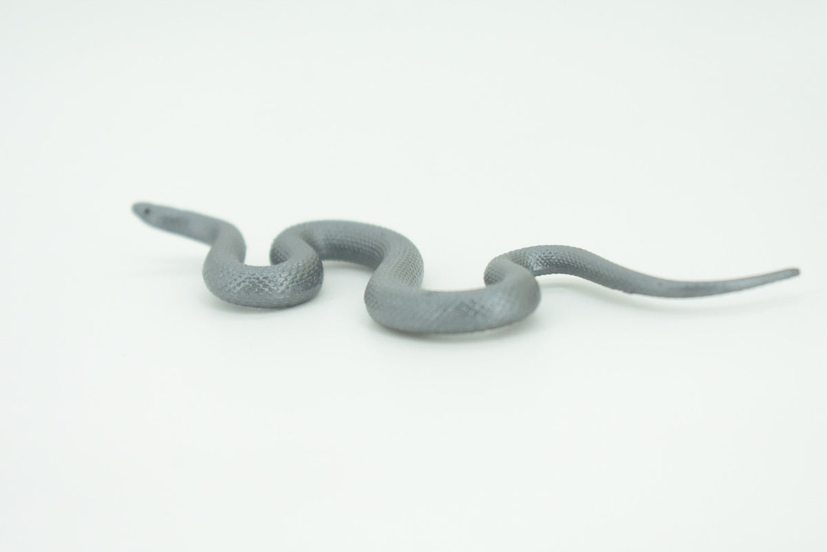 Indigo Snake, Drymarchon couperi, Blue Indigo, Educational, Rubber Reptile, Realistic Figure, Lifelike, Gift,    4"    SF42 B15