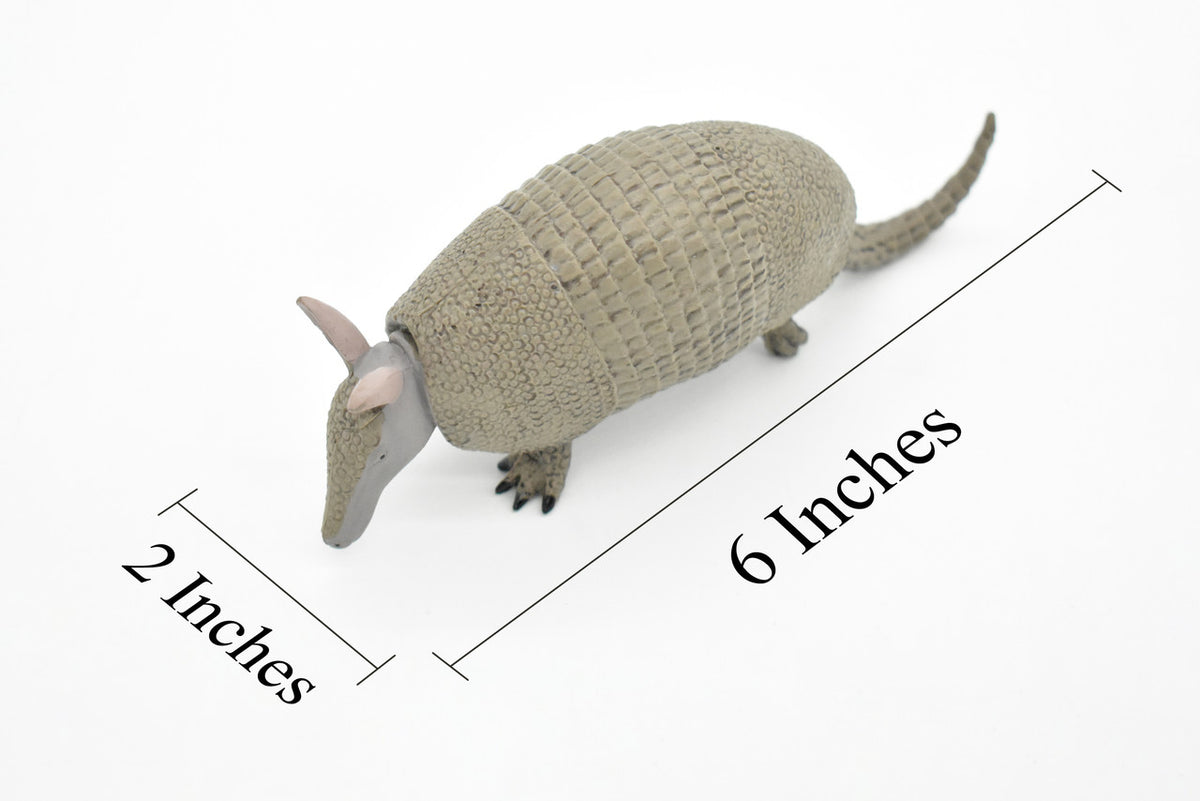 Armadillo, Cingulata, Museum Quality, Hand Painted, Rubber Animal, Realistic Toy Figure, Diorama Model, Kids, Educational, 6 Inches. 