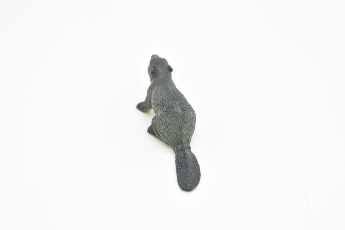 Beaver, Castor canadensis, Very Nice Plastic Design, American Animal, Educational, Hand Painted, Diorama Figure, Lifelike Model, Toy, Gift,   2 1/2 inches.   CWG102 B237