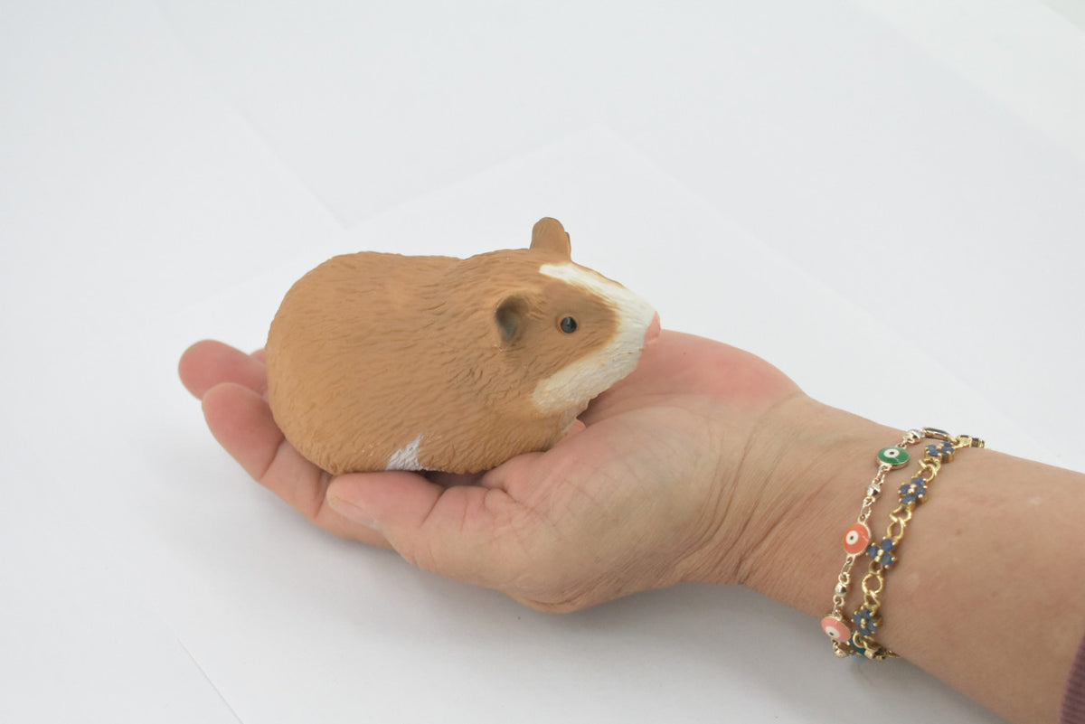 Guinea Pig, Domesticated Rodent, High Quality, Rubber Animal, Hand Painted, Realistic, Toy, Figure, Model, Replica, Kids, Educational, Gift,      4 1/ 2 "     CH680 BB172