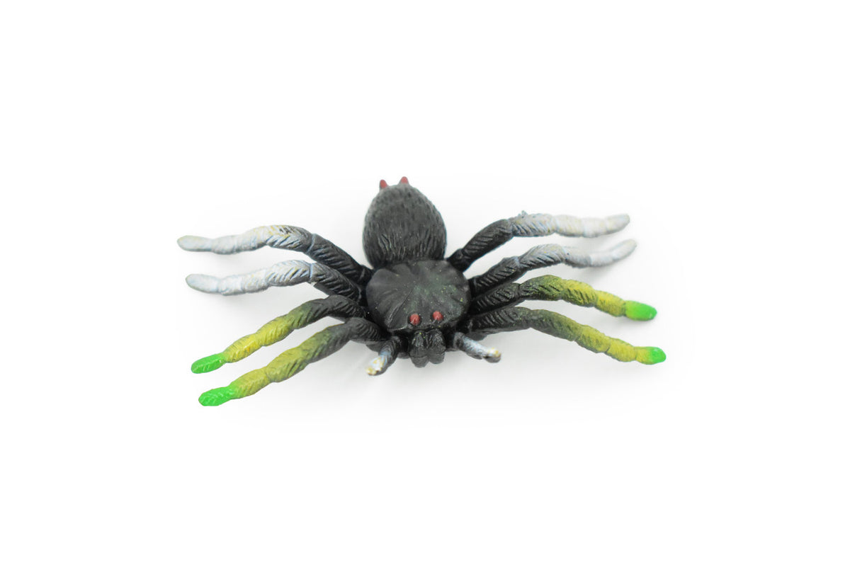 Spider, Garden Spider, Rubber Insect, Realistic Figure, Model, Replica, Kids Educational Gift,      2 1/2"     F2079 B142