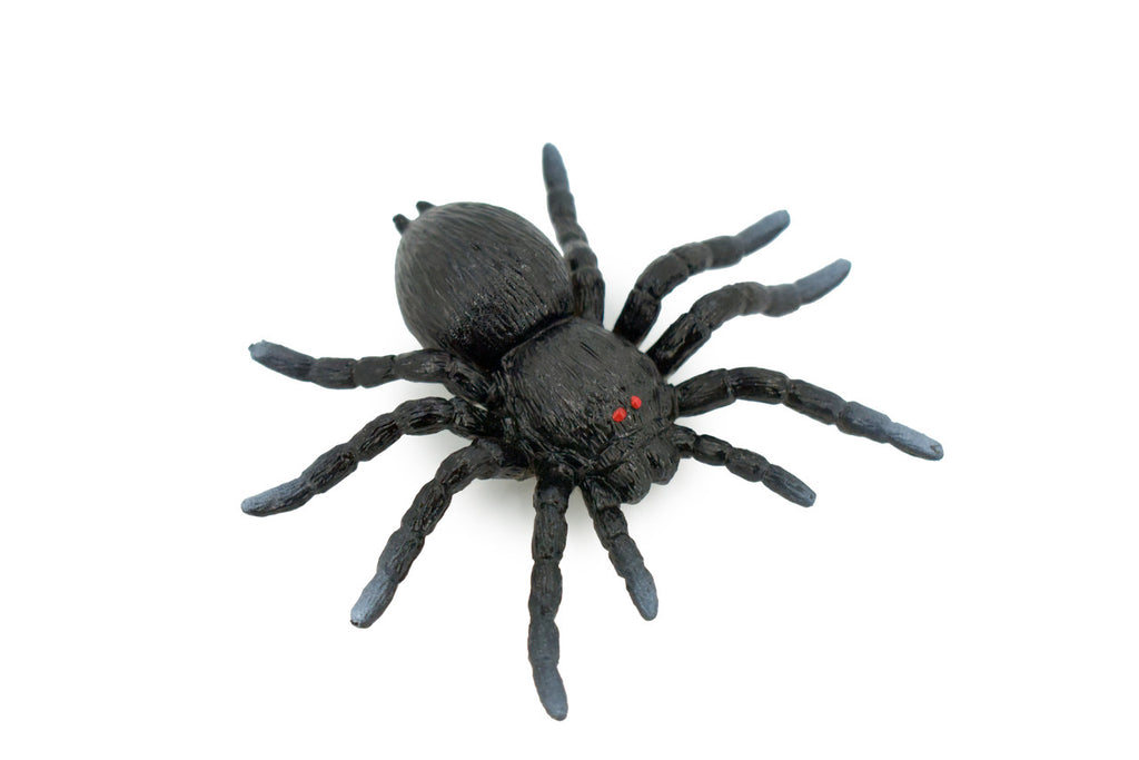 Spider, Tarantula, Theraphosidae, Solid Rubber Arachnids, Educational, Toy, Kids, Realistic Figure, Lifelike Model, Figurine, Replica, Gift,