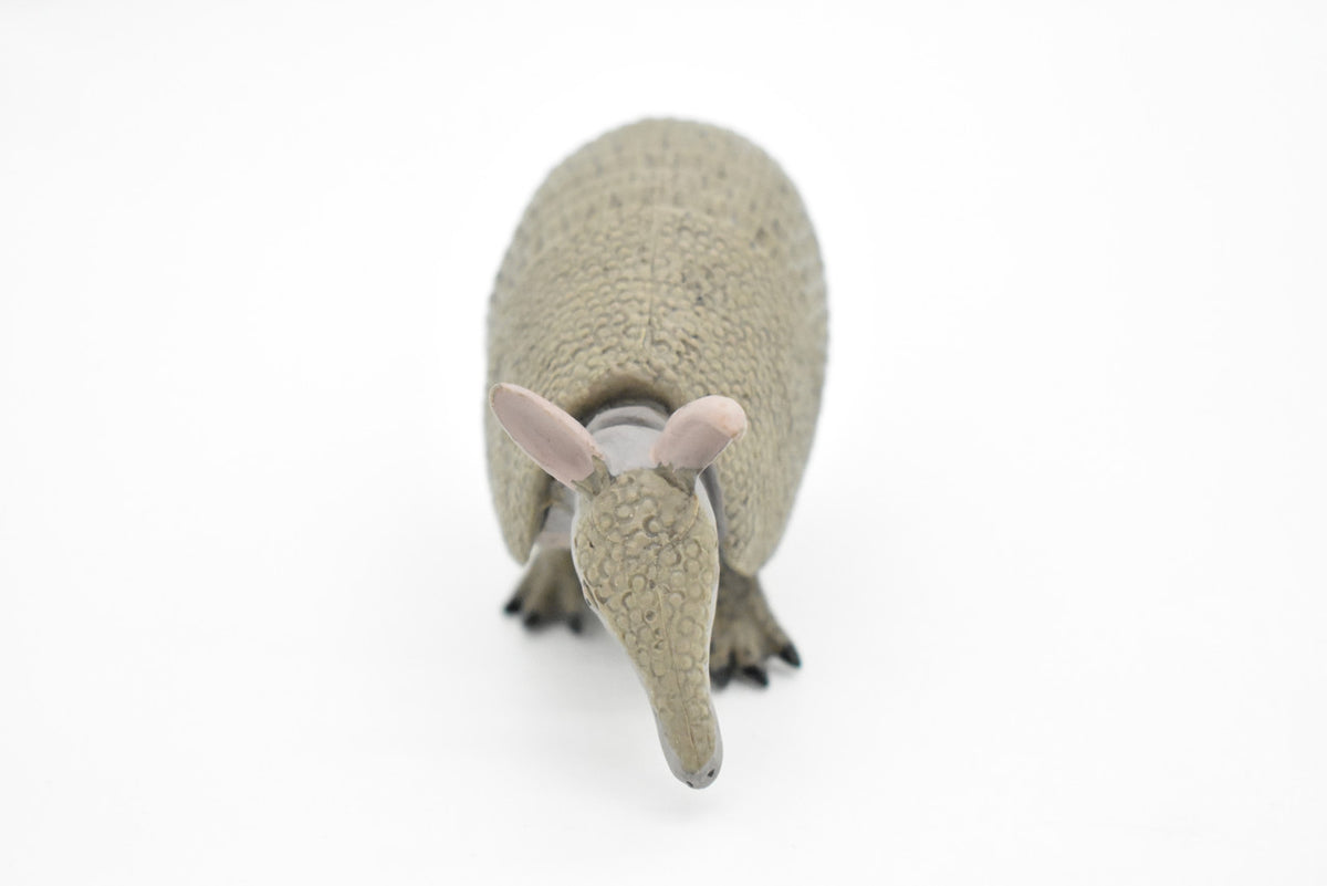 Armadillo, Cingulata, Museum Quality, Hand Painted, Rubber Animal, Realistic Toy Figure, Diorama Model, Kids, Educational, Gift,   6 Inches.   CH041 BB76