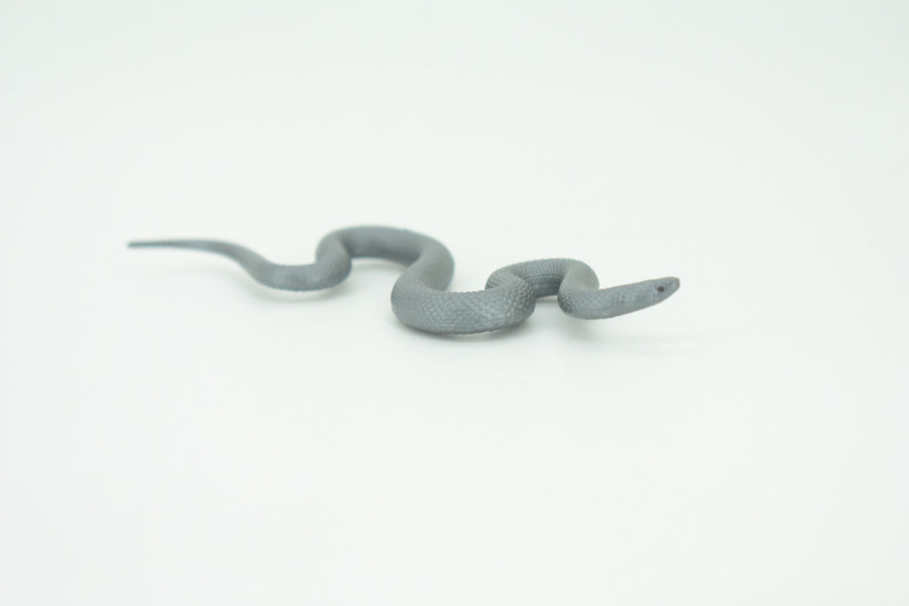 Indigo Snake, Drymarchon couperi, Blue Indigo, Educational, Rubber Reptile, Realistic Figure, Lifelike, Gift,    4"    SF42 B15