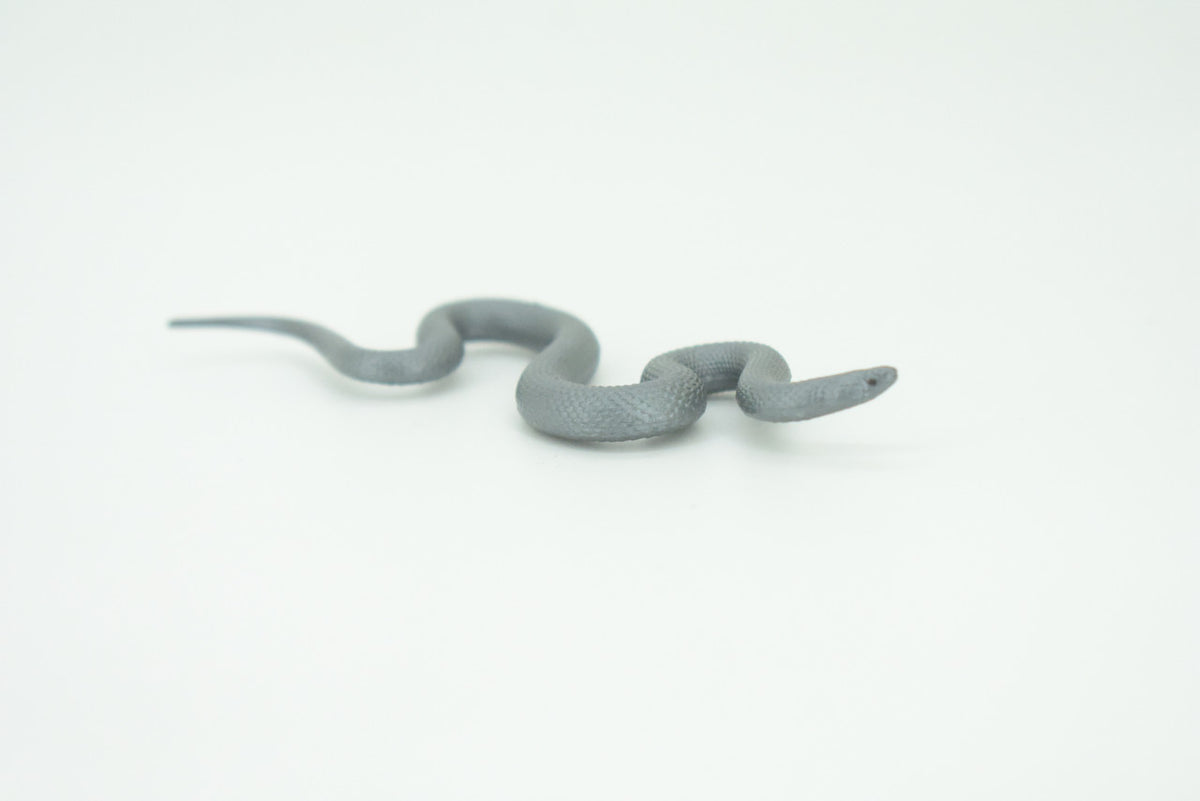 Indigo Snake, Drymarchon couperi, Blue Indigo, Educational, Rubber Reptile, Realistic Figure, Lifelike, Gift,    4"    SF42 B15