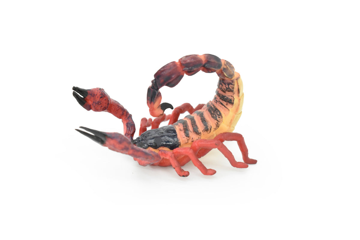 Scorpion, Red, Arachnids, Scorpiones, Museum Quality, Educational, Hand Painted, Rubber Insect, Diorama Model, Realistic, Kids, Toys, 3 Inches.