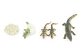 Alligator Life Cycle, 4 Piece Set, Hand Painted, Educational, High Quality Rubber Reptile, Realistic, Diorama, Figure, Toys, Kids, Gift, 4 Inches. CH988 BB214