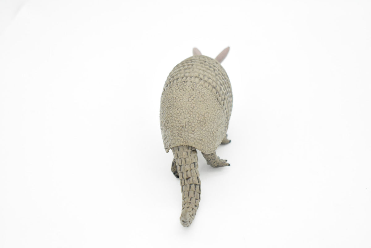 Armadillo, Cingulata, Museum Quality, Hand Painted, Rubber Animal, Realistic Toy Figure, Diorama Model, Kids, Educational, Gift,   6 Inches.   CH041 BB76