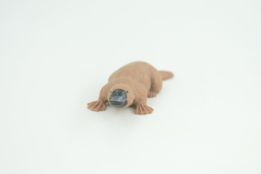 Platypus Duckbill, Very Nice Hard Rubber, Educational, Hand Painted, Australia Animal, Realistic, Diorama, Toy, Kids, Gift,  3 Inches.  CH806 BB188