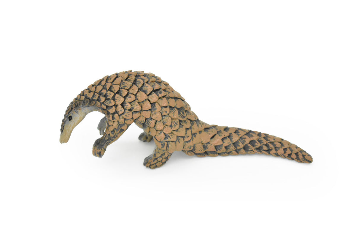 Pangolin, Scaly Anteaters, Museum Quality, Hand Painted, Educational, Rubber Animal, Realistic Toy Figure, Diorama Model, Kids,  7 Inches.