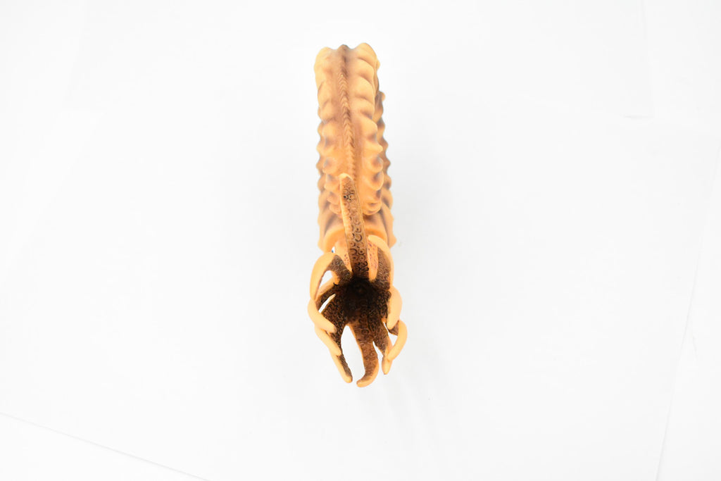 Ammonite, Living Fossil, Prehistoric Marine Animal, Museum Quality, Rubber, Hand Painted, Realistic Toy Figure, Diorama Model, Kids, Educational, 6 Inches 