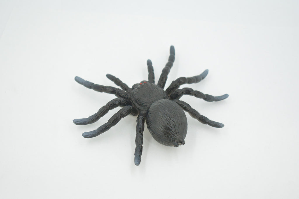 Spider, Tarantula, Theraphosidae, Solid Rubber Arachnids, Educational, Toy, Kids, Realistic Figure, Lifelike Model, Figurine, Replica, Gift,      4"     ABC16 B263