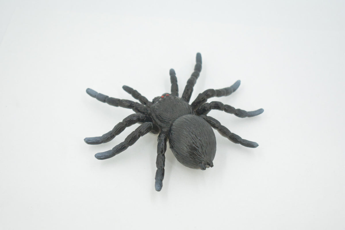 Spider, Tarantula, Theraphosidae, Solid Rubber Arachnids, Educational, Toy, Kids, Realistic Figure, Lifelike Model, Figurine, Replica, Gift,      4"     ABC16 B263