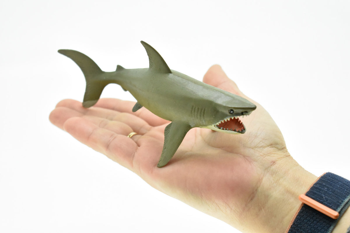 Great White Shark, Squeaks, Very Nice Design, Hand Painted, Rubber, Educational, Diorama Model, Realistic Figure, Figurine, Replica,  6 Inches. 