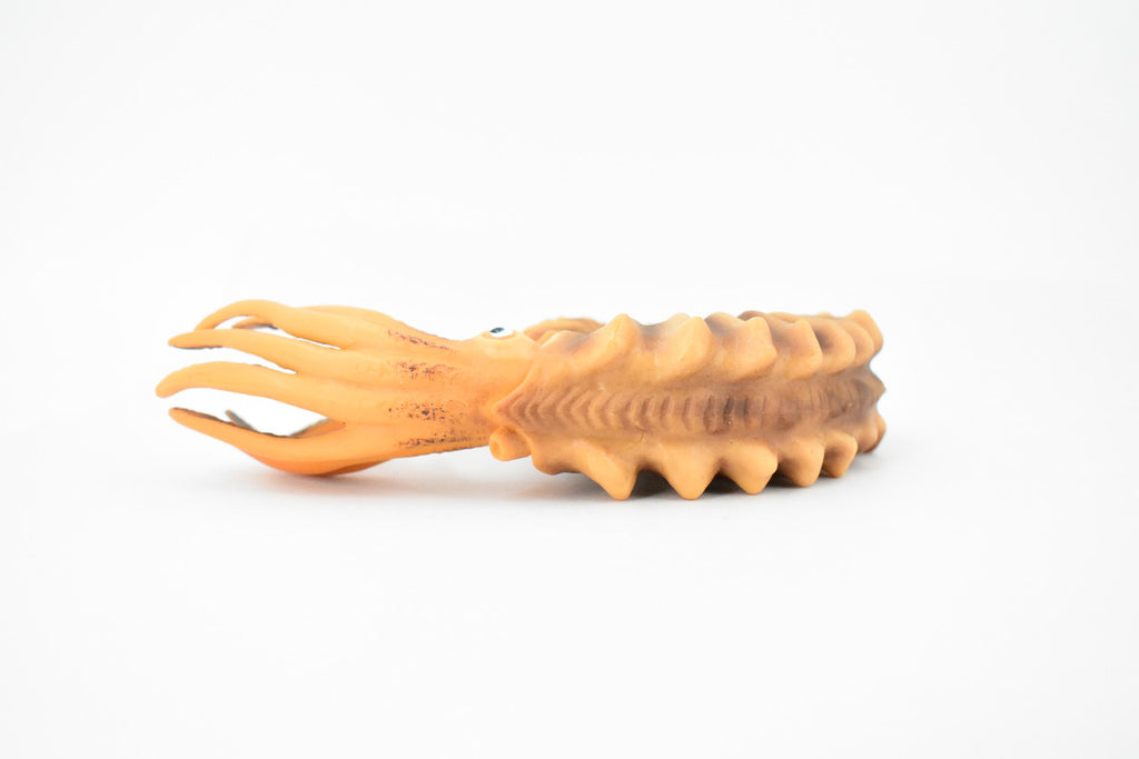 Ammonite, Living Fossil, Prehistoric Marine Animal, Museum Quality, Rubber, Hand Painted, Realistic Toy Figure, Diorama Model, Kids, Educational, 6 Inches 