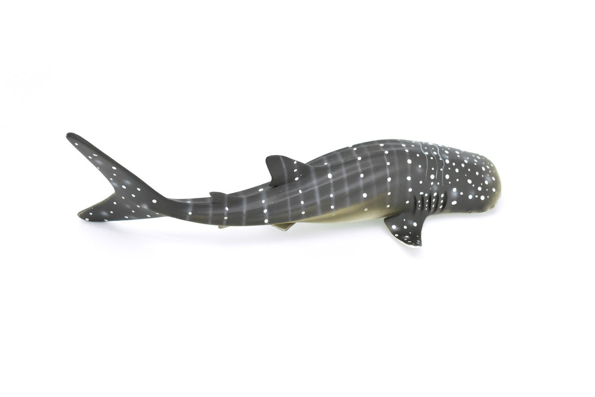 Whale Shark, Realistic Toy Model Plastic Replica, Kids Educational Gift     9.5"   M033 B636
