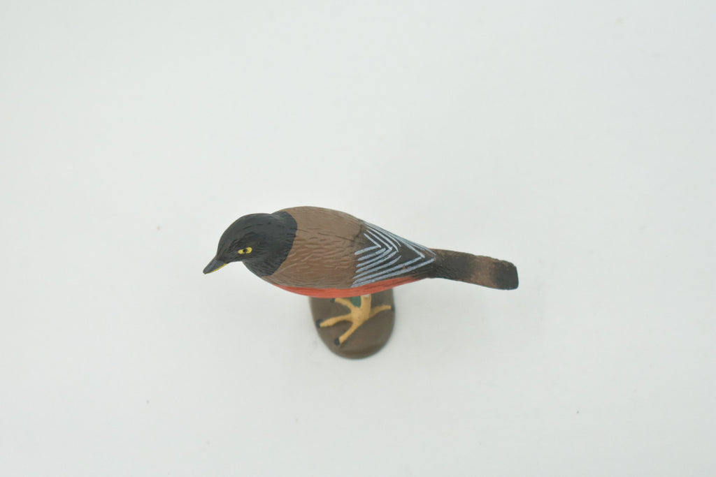 Bird, American robin, Museum Quality, Hand Painted, Rubber, Realistic, Figure, Model, Replica, Toy, Kids, Educational, Gift,        3"        CH717 BB174