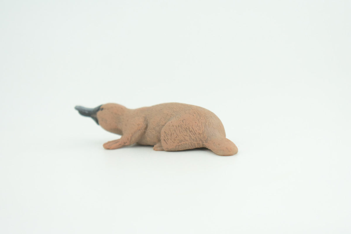 Platypus Duckbill, Very Nice Hard Rubber, Educational, Hand Painted, Australia Animal, Realistic, Diorama, Toy, Kids, Gift,  3 Inches.  CH806 BB188
