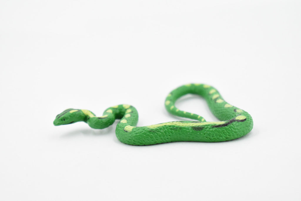 Guatemalan Palm Viper, Rubber Snake, Reptile, Hand Painted, Realistic, Very Nice Rubber Design, Educational, Diorama Model, Lifelike, Toy,  3 Inches. 