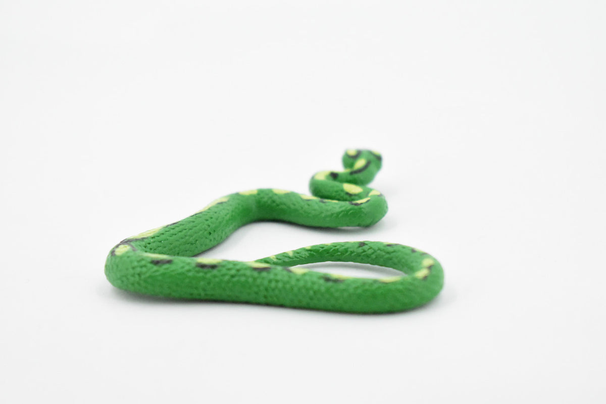 Guatemalan Palm Viper, Rubber Snake, Reptile, Hand Painted, Realistic, Very Nice Rubber Design, Educational, Diorama Model, Lifelike, Toy,  3 Inches. 
