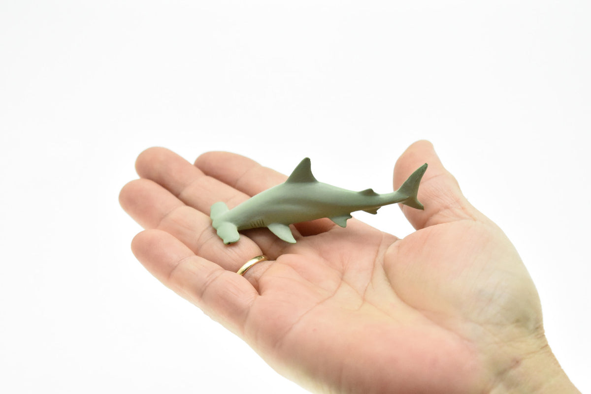 Hammerhead Shark, Curved, Very Nice Plastic Replica    3"   -   F1011 B118