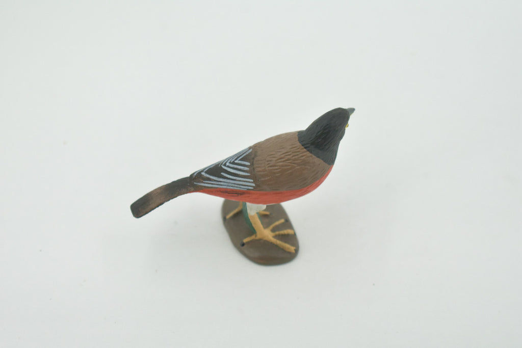 Bird, American robin, Museum Quality, Hand Painted, Rubber, Realistic, Figure, Model, Replica, Toy, Kids, Educational, Gift,        3"        CH717 BB174