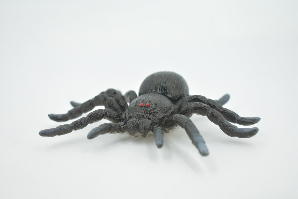 Spider, Tarantula, Theraphosidae, Solid Rubber Arachnids, Educational, Toy, Kids, Realistic Figure, Lifelike Model, Figurine, Replica, Gift,      4"     ABC16 B263