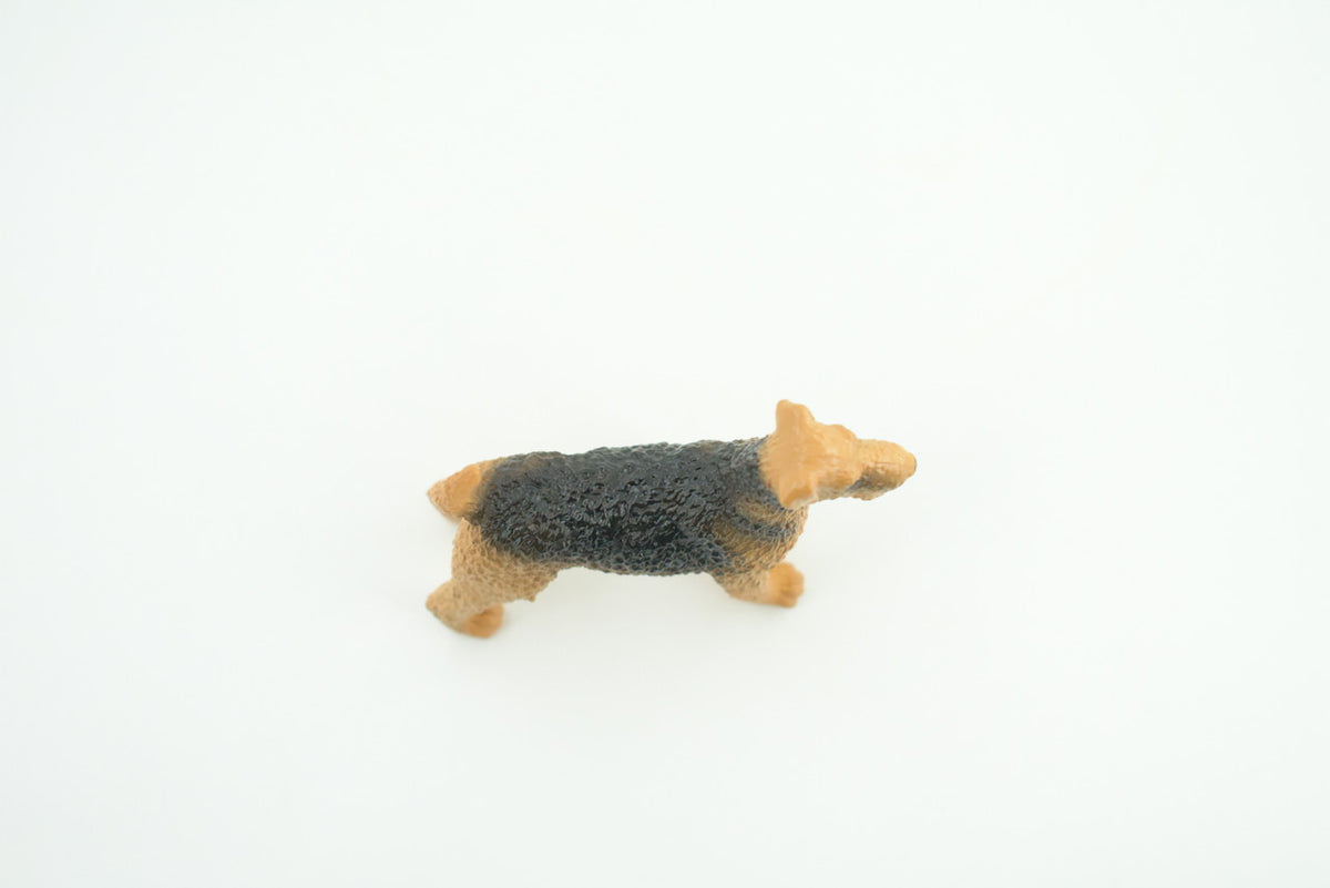Airedale Dog, Rubber Canine, Hand Painted, Educational, Realistic,  K9, Figure, Model, Replica, Toys, Kids, Gift,    3 Inches. CH733 BB184