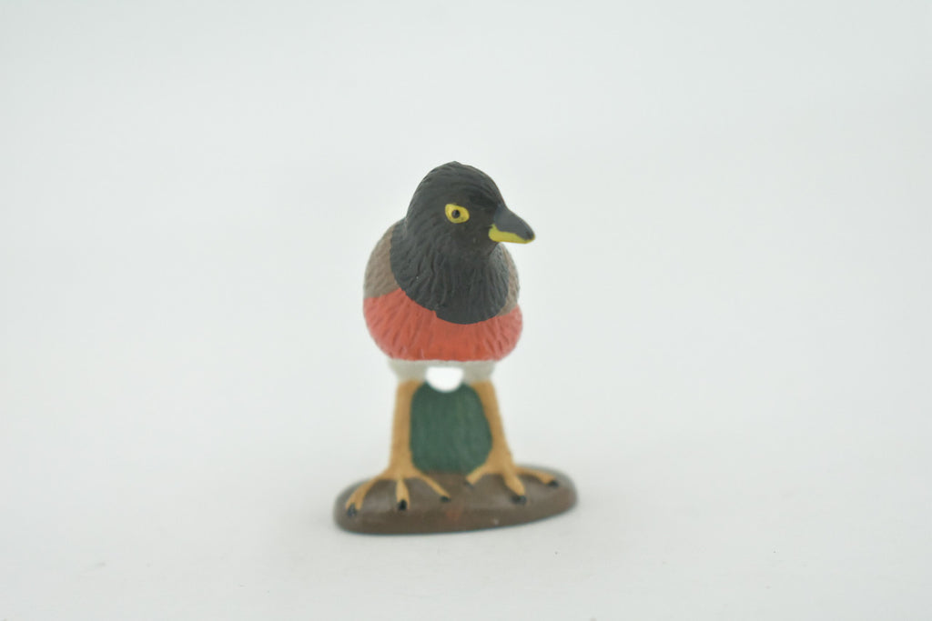 Bird, American robin, Museum Quality, Hand Painted, Rubber, Realistic, Figure, Model, Replica, Toy, Kids, Educational, Gift,        3"        CH717 BB174