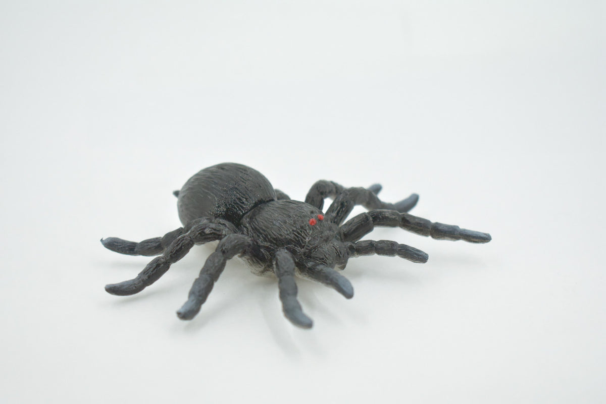 Spider, Tarantula, Theraphosidae, Solid Rubber Arachnids, Educational, Toy, Kids, Realistic Figure, Lifelike Model, Figurine, Replica, Gift,      4"     ABC16 B263