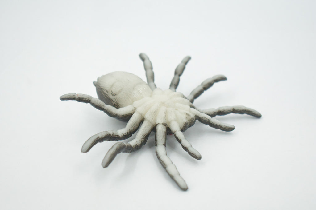 Spider, Tarantula, Theraphosidae, Solid Rubber Arachnids, Educational, Toy, Kids, Realistic Figure, Lifelike Model, Figurine, Replica, Gift,      4"     ABC16 B263
